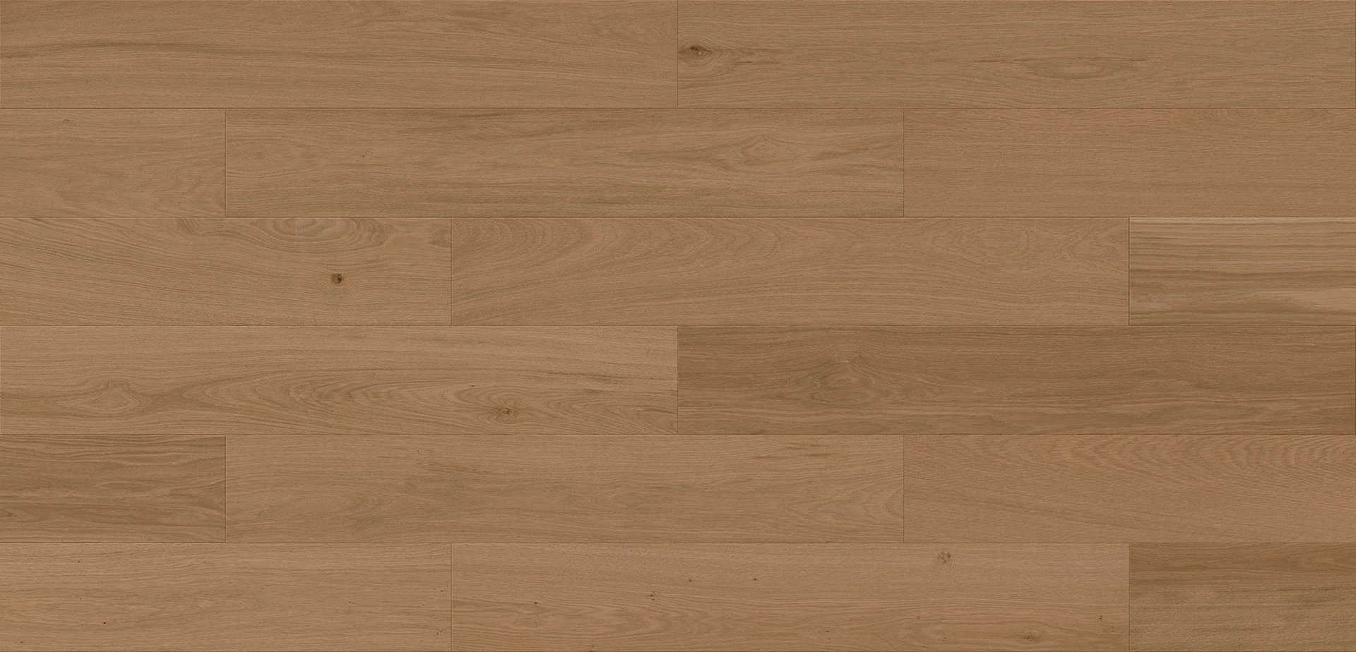 Дъб Verano Esthetic