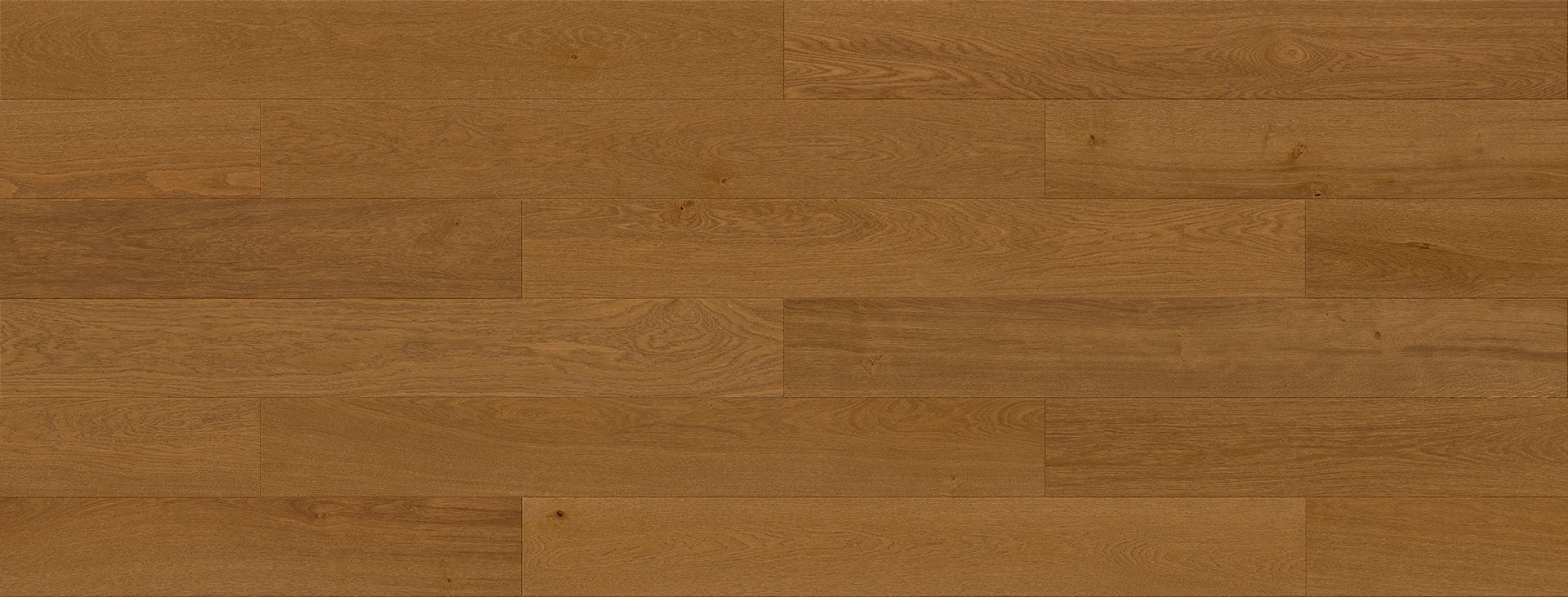 Дъб Vitaria Origin